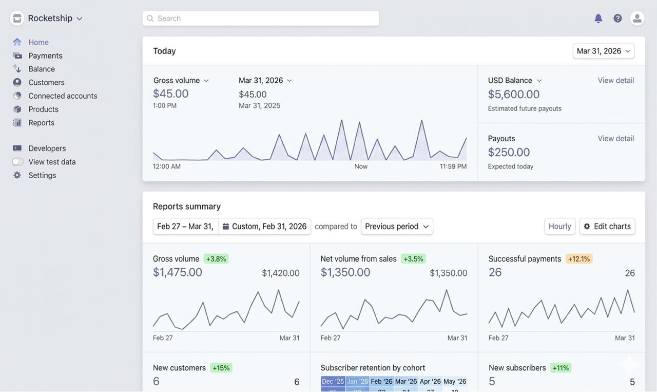 Payment dashboard showing real SaaS revenue